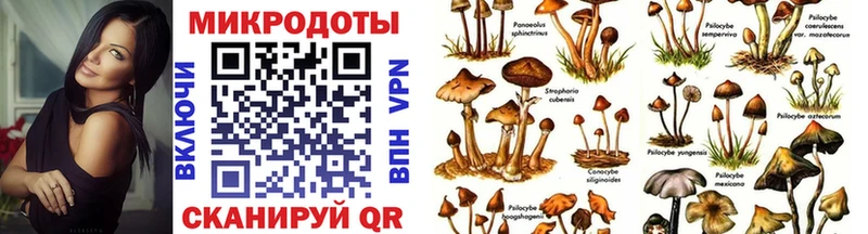 купить наркотики сайты  Серпухов  Галлюциногенные грибы Psilocybe 